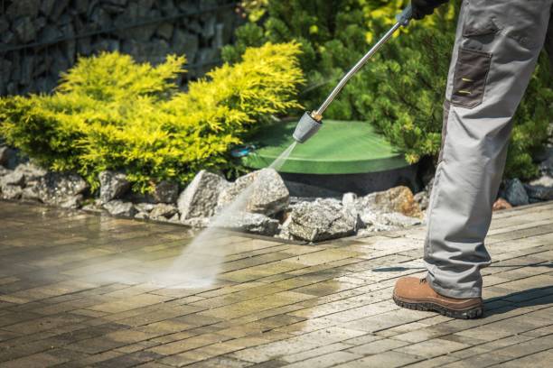 Animal Enclosure Cleaning in Abbeville, GA